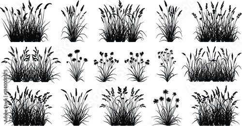 “Collection of detailed grass and wildflower silhouettes with natural botanical shapes perfect for landscape design, nature illustrations, decorative elements, and outdoor-themed projects”