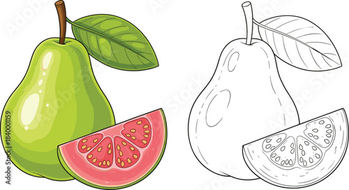 Fruit icon set, pear and guava slice in color and outline for education and art, cad drawing flat vector illustration
