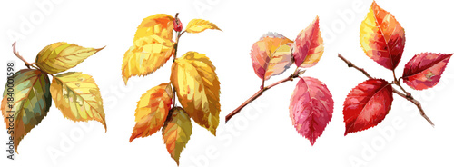 set of autumn leaves on a branch with clipping path