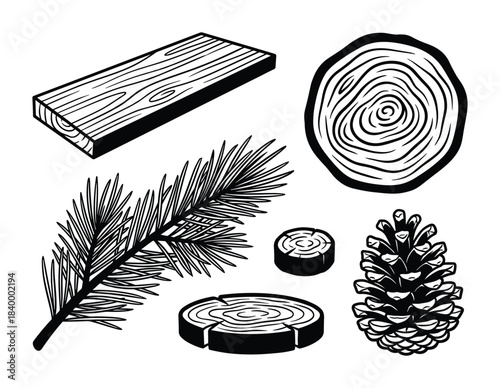 Wood plank. Pine branch. Tree rings. Cross section slices. Pine cone. Forestry elements. Wood texture.