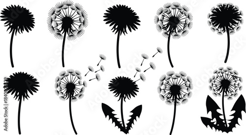 Elegant dandelion silhouette vector set featuring blowing seeds, floral shapes, botanical illustrations, minimalist nature elements, and black flower graphic designs