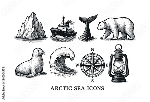 A collection of hand-drawn vintage illustrations depicting Arctic expedition elements including wildlife, an icebreaker, and navigational tools in a classic engraving style — stock vector.