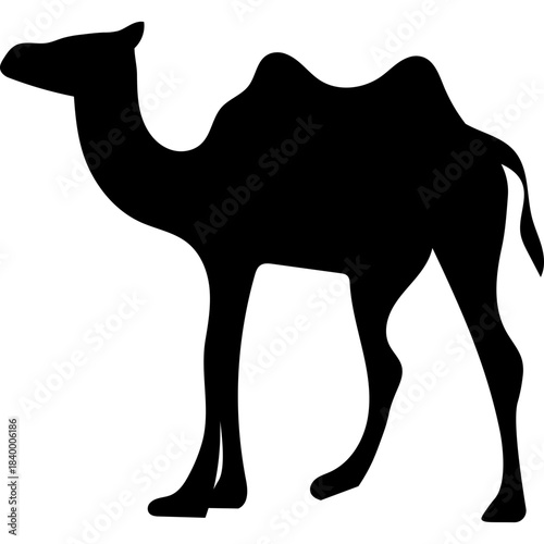 Camel Silhouette Islamic Illustration