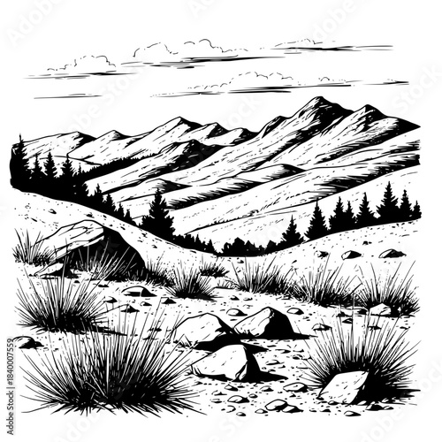  Dry bushes of grass and the sky with clouds, the steppe landscape is isolated on a white background. Mountain range and mountain slope with boulders, black and white sketch. Vector illustration.02