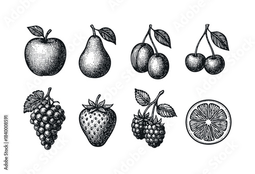 A collection of hand-drawn vintage style fruit illustrations including apple, pear, cherries, plums, grapes, strawberry, raspberries, and orange slice, isolated on white background — stock vector.