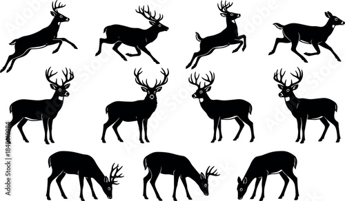 Deer Silhouettes in Motion and Stillness, Wildlife Vector Icons for Nature, Forest, Rustic Design Projects - flavector