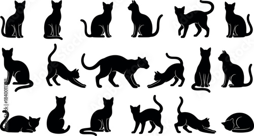 flavector cat silhouette set – 18 feline poses including sitting, walking, stretching, crouching and lying down