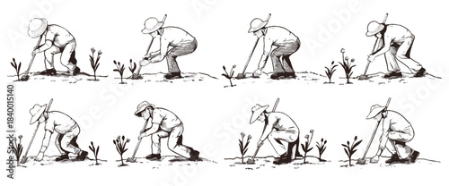 Cultivating Growth: An illustration showcases the stages of tending to young plants in a field, highlighting the diligent work of an individual.