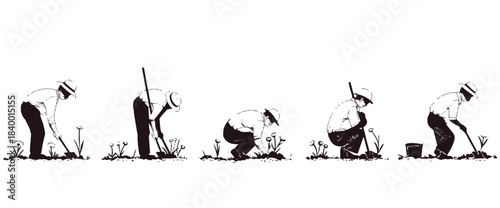 Planting Sequence in the Garden:  A series of illustrations showing the step-by-step process of a person planting a seed or seedling in a garden, from preparing the soil to nurturing the young plant.