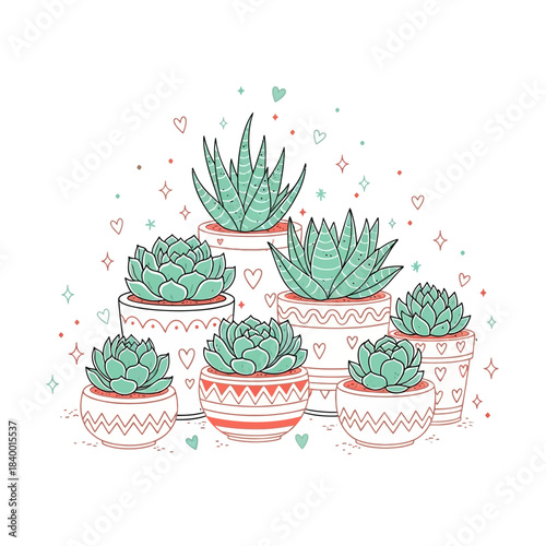 Collection of various succulent plants in decorative pots.