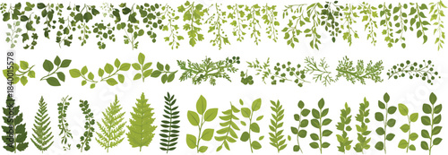 Floral Harmony: a collection of elegant floral motifs showcases a diverse arrangement of leaves and delicate foliage, creating a harmonious and aesthetically pleasing scene. 