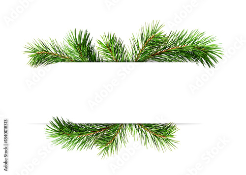 Decorative green twigs of Chrismas tree with empty space for text isolated on white or transparent background