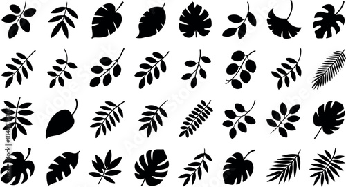 Assorted black leaf vector graphics and plant shape icons collection