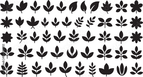 Diverse Silhouettes of Nature's Leaves Representing Botanical Variety