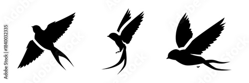 Swift & Swallow Silhouette Vector Collection