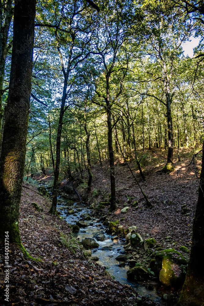 Naklejka premium Beautiful landscape view from Ain Drahem forest, Tunisia