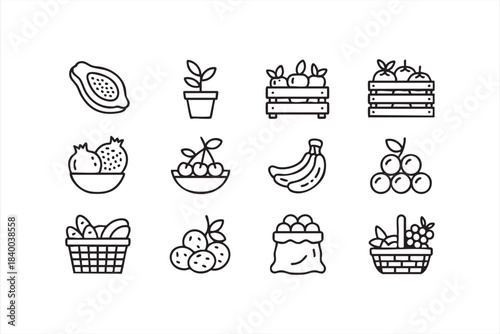 Tropical and seasonal fruit icons in clean line style for nutrition UI resources