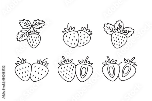 Berry fruit line illustrations for market graphics, recipe layouts and food dashboards