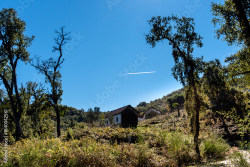 A rural scene in the Ain Drahem region, Tunisia