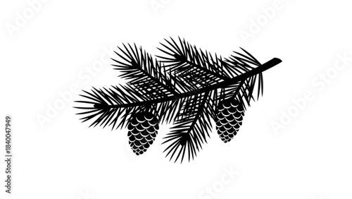 Pine Branch Silhouette: The intricate detail of a pine branch, its needles and cones defined in a striking silhouette against a pristine background, evokes a sense of natural elegance.