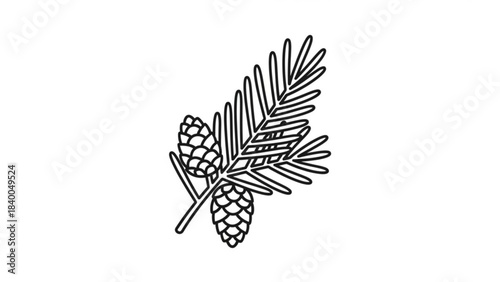 Pine Branch Illustration: A simple yet elegant black and white illustration of a pine branch, with two pine cones, evokes feelings of tranquility and simplicity. 