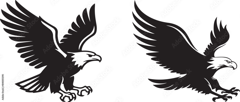 Obraz premium Two majestic bald eagles with outstretched wings in a black and white design
