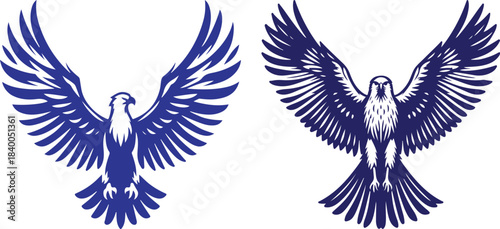 Detailed illustration of two majestic eagles with wings spread wide open