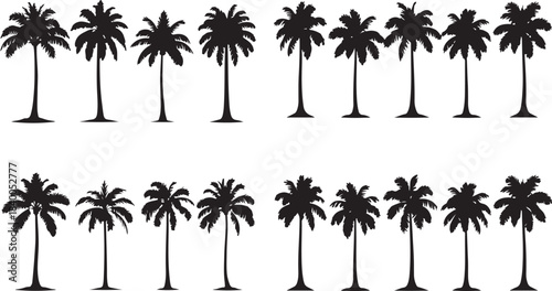 Collection of silhouette palm trees in rows