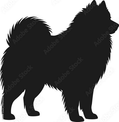 Fluffy dog silhouette with thick fur and curled tail standing in profile for pet design, animal graphics and decoration, flat vector illustration