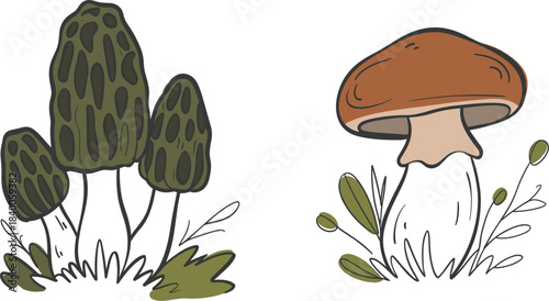 Set of hand-drawn Morel and Bolete mushrooms with grass and leaves, edible fungi forest botanical sketch vector illustration