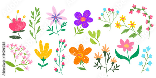 Colorful crayon flowers set isolated on white background. Vector realistic illustration of hand drawn color chalk plants and grass, childish field, park or meadow drawing, school poster elements