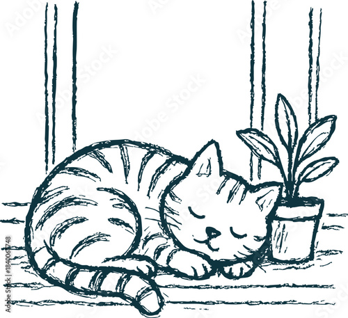 Sleeping cat by windowsill plant