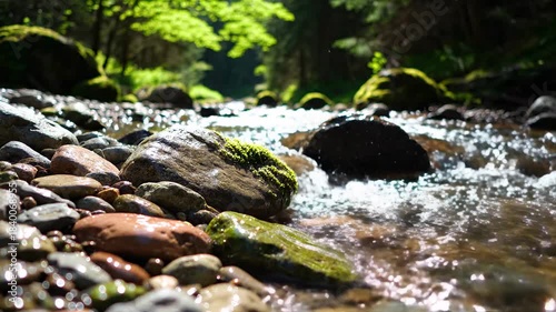Serene Forest Stream Flowing Over Colorful River Stones.
