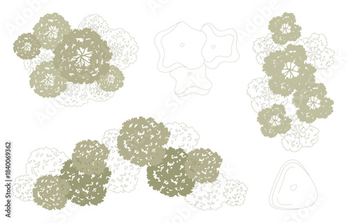 Top view trees for architectural plans and landscape design. Minimal vector illustration for urban planning, site plans, and architectural entourage.