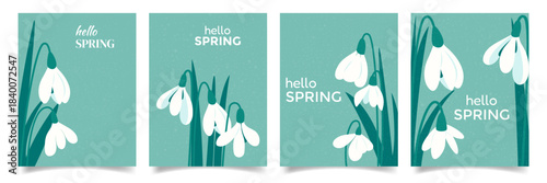 Vertical Spring posters or cards with snowdrops set. Floral poster collection with trendy texture. Vector templates greeting card for Snowdrop day, Easter, Women's Day, birthday, Mother's Day