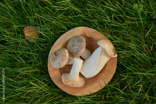 Group of fresh king trumpet mushrooms lying in a wooden texture bowl on green grass with yellow autumn leaf