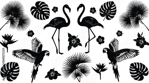 Tropical flamingo and parrot silhouette vector illustration set with exotic palm leaves and floral elements for nature themed decoration, design and creative projects