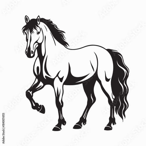Elegant Majestic Horse Vector Illustration on White Background
