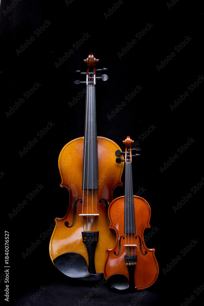 Fototapeta premium Violin and viola standing on black background