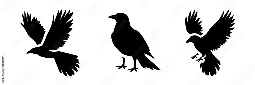 Obraz premium Crow & Raven Silhouette Vector Collection