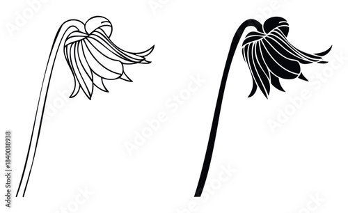Elegant outline and silhouette graphics of a drooping flower with delicate petals presented in a side by side comparison, perfect for nature inspired graphic projects and abstract floral