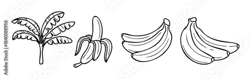 Collection of banana fruits, including a whole bunch, peeled banana, and banana leaves, perfect for food concepts, healthy eating themes, and tropical visuals.