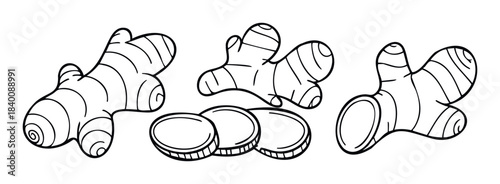 Line drawing of fresh ginger root pieces and slices, perfect for culinary ingredient promotion and health food concepts