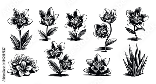 Collection of monochrome floral drawings with detailed linework and shading, perfect for botanical projects, decorative accents, and natural themes.