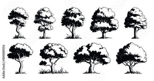 Collection of stylized black and white trees with detailed trunks and foliage, perfect for nature themed designs and landscape compositions.