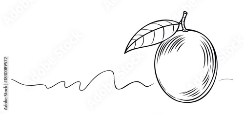 Stylized line drawing of a round fruit with a single leaf and a wavy line below, perfect for health food branding and organic product packaging.