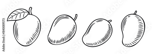 Line drawing set of four mangoes with different styles for summer fruit and food related projects