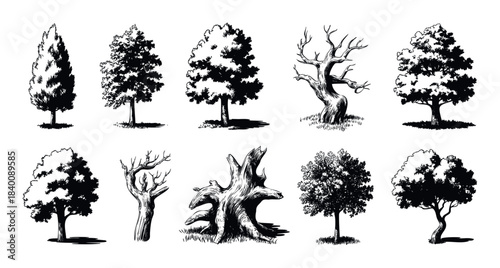 Collection of handdrawn black and white tree silhouettes and gnarled wood stumps for nature and outdoor themes.