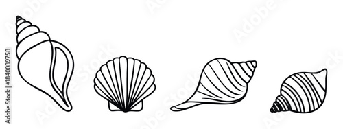 Collection of stylized black and white line drawings of assorted seashells depicting organic forms and marine life found on beaches, perfect for nature themed projects and ocean graphics.