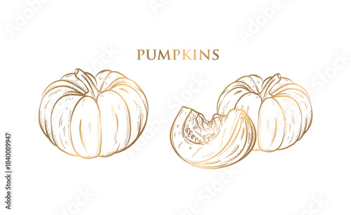 Gold drawing pumpkin isolated on white background. Hand drawn vector illustration.